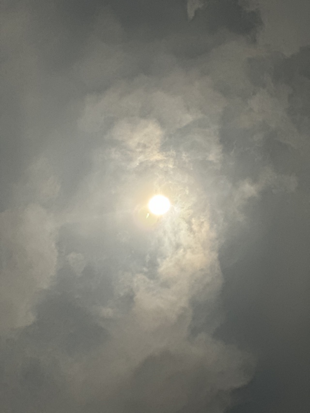 2024-04-08-Total-Solar-Eclipse-44.JPG