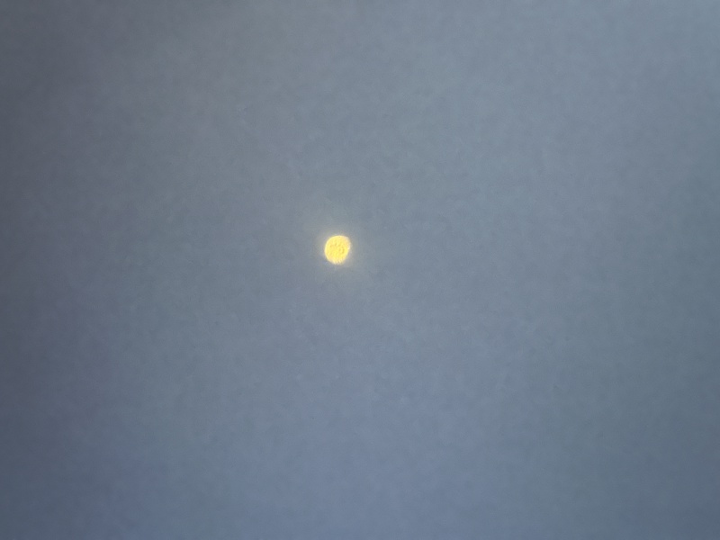 2024/04(April)/Total-Solar-Eclipse/800x600_2024-04-08-Total-Solar-Eclipse-16.JPG
