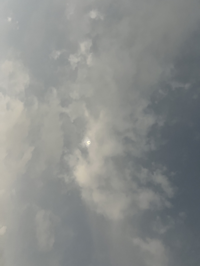 2024/04(April)/Total-Solar-Eclipse/800x600_2024-04-08-Total-Solar-Eclipse-35.JPG