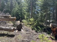 2024-05-16-Colorado-088-trail-maintenance.JPG