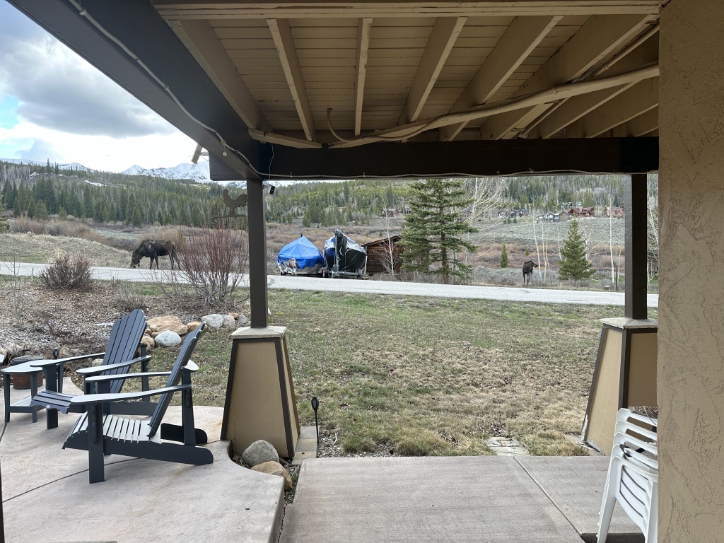 2024/05(May)/Moose/1024x768_2024-05-15-Moose-15.JPG