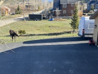 2024-05-16-Moose-24.JPG