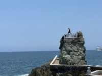 2024-05-28-Royal-Cruise-LA-Cabo-119-diving.JPG