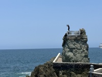 2024-05-28-Royal-Cruise-LA-Cabo-120-diving.JPG