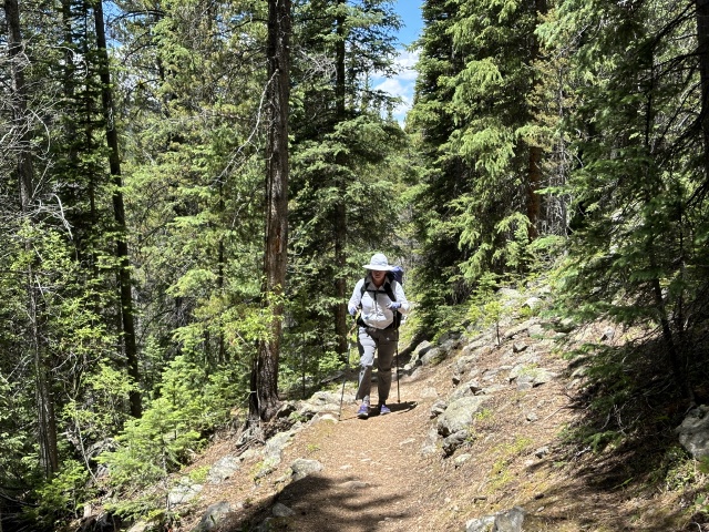 2024/06(June)/Hiking-Segment-7-Colorado-Trail/640x480_2024-07-06-CT-Segment7-26-Suzi.JPG