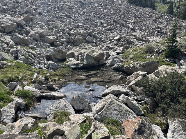 2024/06(June)/Hiking-Segment-7-Colorado-Trail/640x480_2024-07-13-CT-Segment7-75.JPG