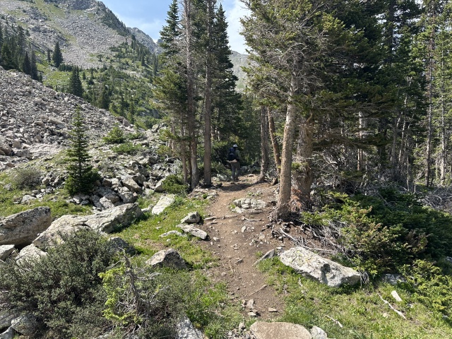 2024/06(June)/Hiking-Segment-7-Colorado-Trail/640x480_2024-07-13-CT-Segment7-76-Suzi.JPG