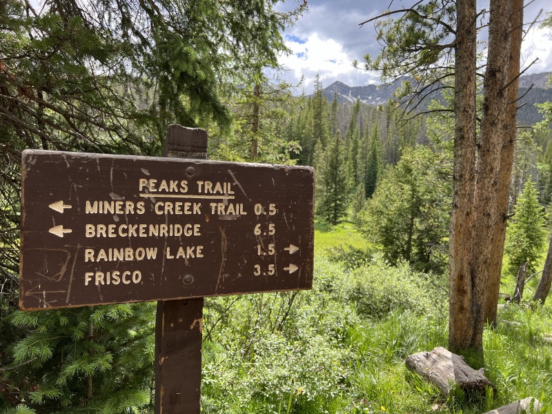 2024/06(June)/Hiking-Segment-7-Colorado-Trail/800x600_2024-06-29-CT-Segment7-10.JPG
