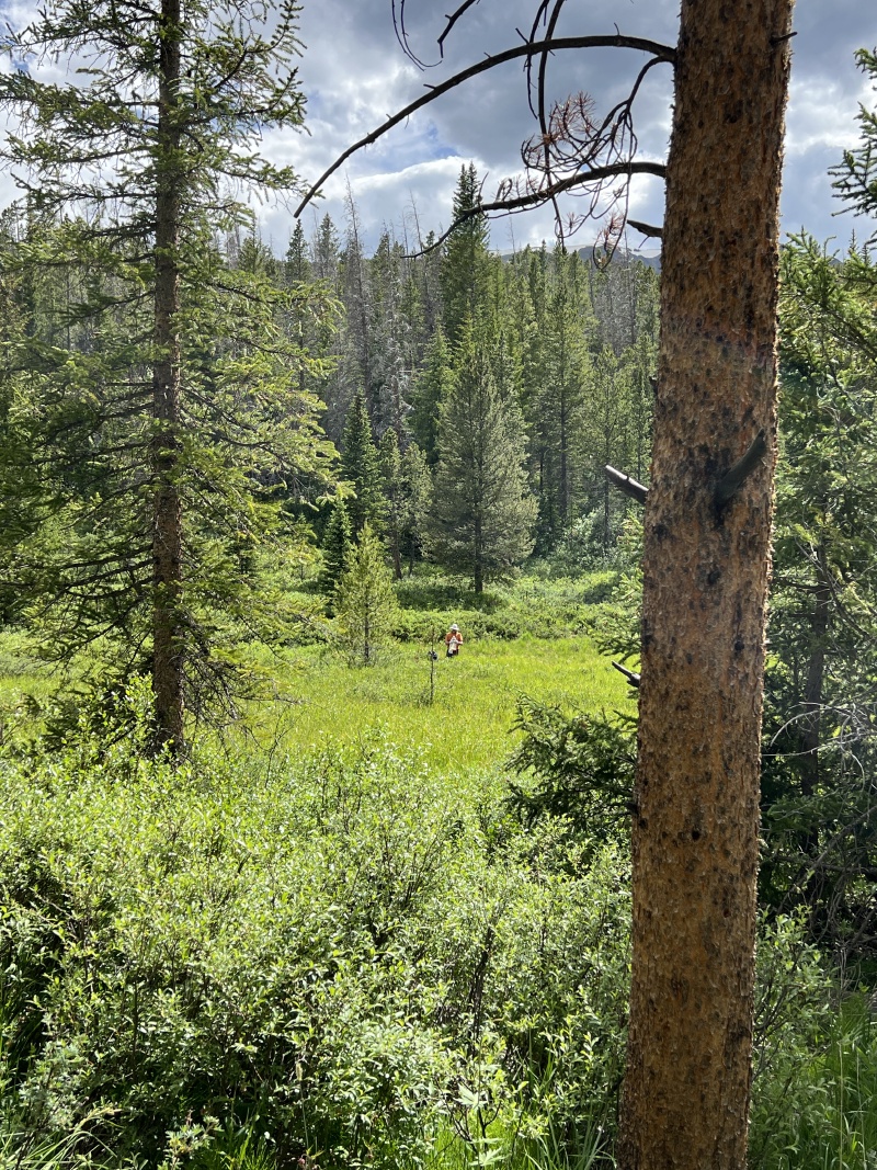 2024/06(June)/Hiking-Segment-7-Colorado-Trail/800x600_2024-06-29-CT-Segment7-12-Travis.JPG