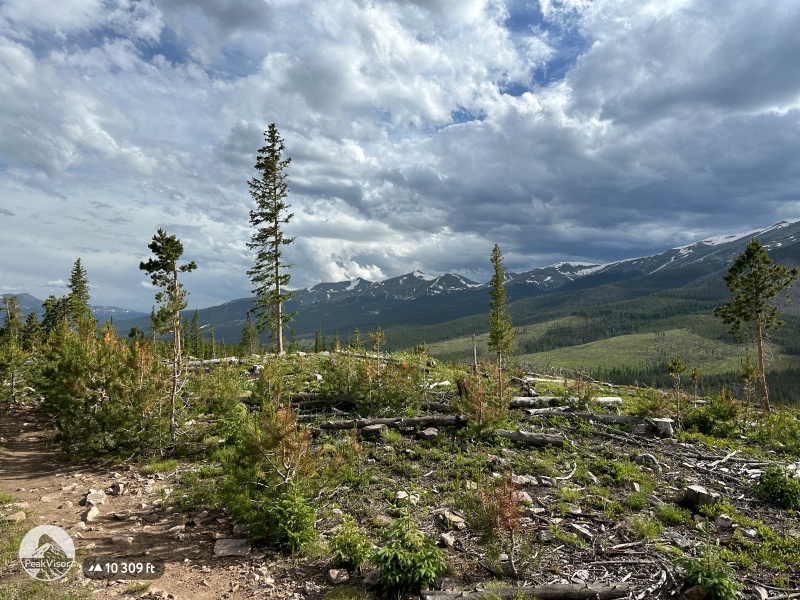 2024/06(June)/Hiking-Segment-7-Colorado-Trail/800x600_2024-06-29-CT-Segment7-20.jpg