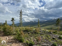 2024-06-29-CT-Segment7-20.jpg