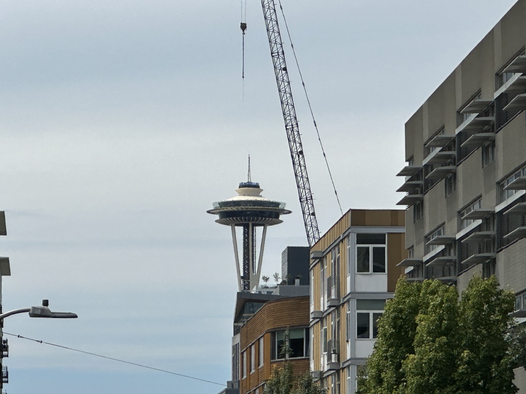 2024/06(June)/VA-SAVD-Seattle/1024x768_2024-06-13-VA-SAVD-Seattle-12-needle.JPG