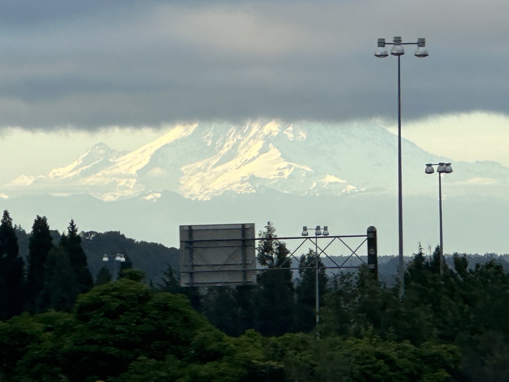 2024-06-14-VA-SAVD-Seattle-23-Mt-Rainier.JPG