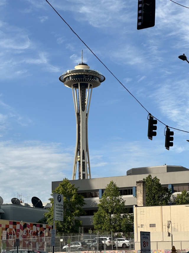2024/06(June)/VA-SAVD-Seattle/640x480_2024-06-13-VA-SAVD-Seattle-22-Needle.JPG