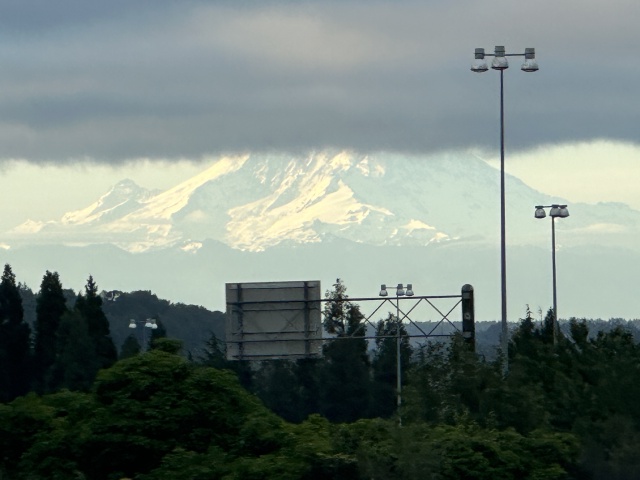 2024-06-14-VA-SAVD-Seattle-23-Mt-Rainier.JPG