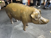 2024-06-13-VA-SAVD-Seattle-19-PikesPeak-Market.JPG