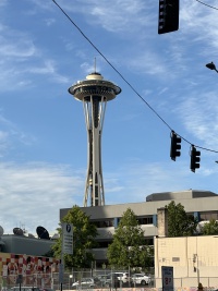 2024-06-13-VA-SAVD-Seattle-22-Needle.JPG