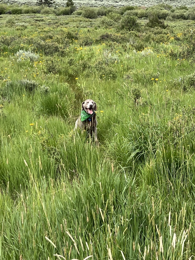2024/07(July)/Colorado/640x480_2024-07-19-Colorado-35-Hans.JPG