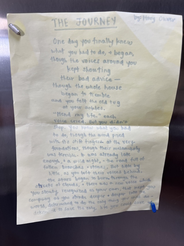 2024-07-21-Colorado-38-The-Journey-Poem.JPG