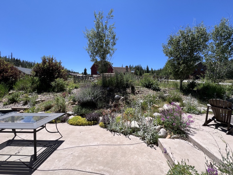 2024/07(July)/Colorado/800x600_2024-07-30-Colorado-43.JPG
