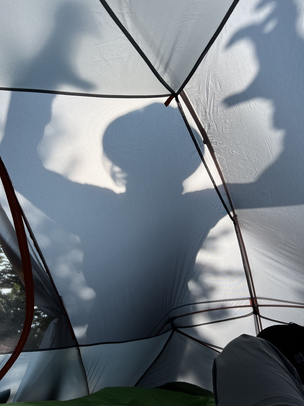 2024/07(July)/Maroon-Bells-Four-Pass-Loop/1024x768_2024-07-23-Maroon-Bells-4PL-039-bear-shadow.JPG