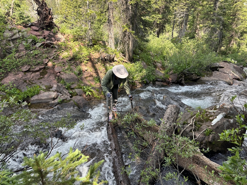 2024/07(July)/Maroon-Bells-Four-Pass-Loop/1024x768_2024-07-25-Maroon-Bells-4PL-142-Suzi.JPG