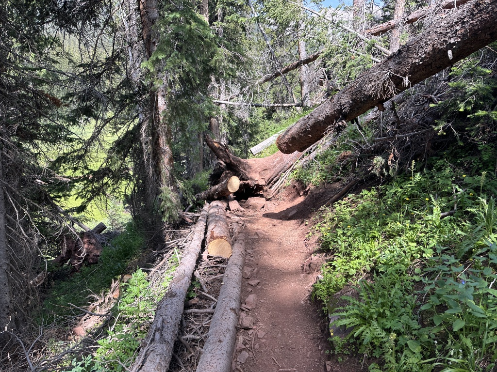 2024/07(July)/Maroon-Bells-Four-Pass-Loop/1024x768_2024-07-25-Maroon-Bells-4PL-145.JPG