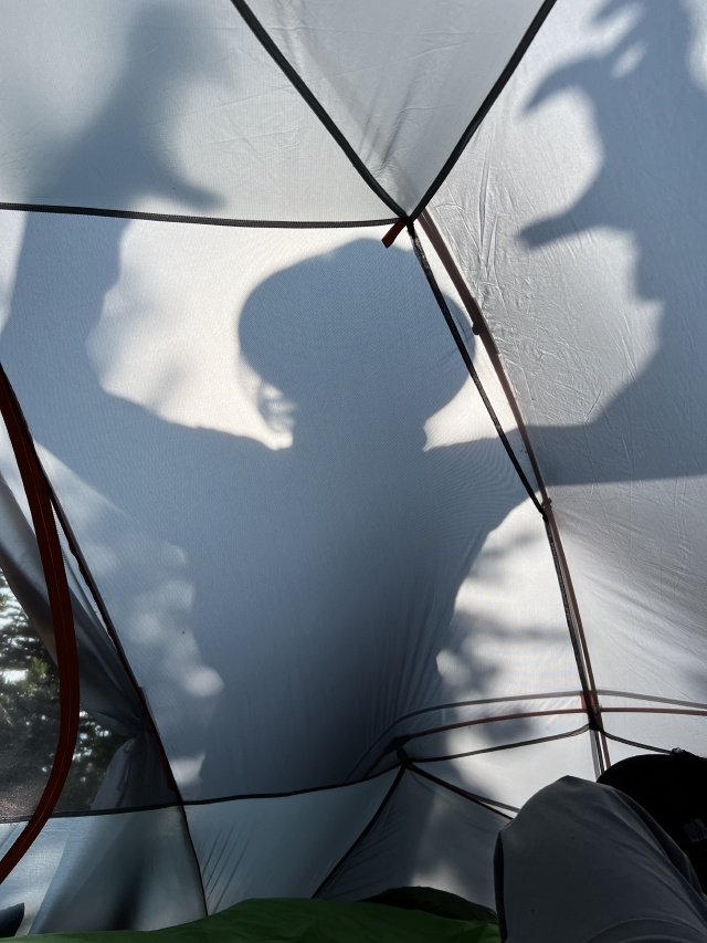 2024/07(July)/Maroon-Bells-Four-Pass-Loop/640x480_2024-07-23-Maroon-Bells-4PL-039-bear-shadow.JPG