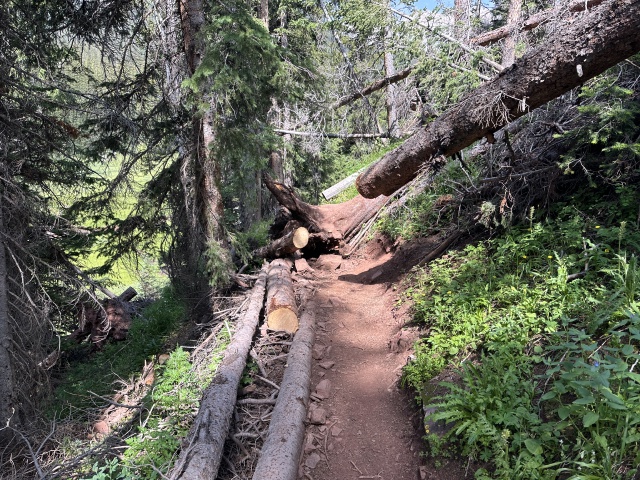 2024/07(July)/Maroon-Bells-Four-Pass-Loop/640x480_2024-07-25-Maroon-Bells-4PL-145.JPG
