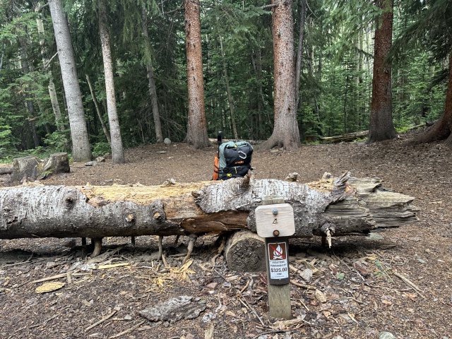 2024-07-25-Maroon-Bells-4PL-161-Crater-Lake-campsite-4.JPG