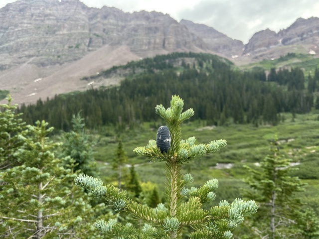 2024/07(July)/Maroon-Bells-Four-Pass-Loop/640x480_2024-07-26-Maroon-Bells-4PL-184.JPG
