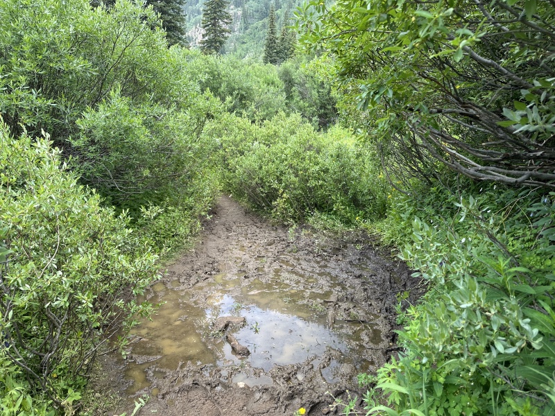 2024/07(July)/Maroon-Bells-Four-Pass-Loop/800x600_2024-07-24-Maroon-Bells-4PL-091-mud-crossing.JPG
