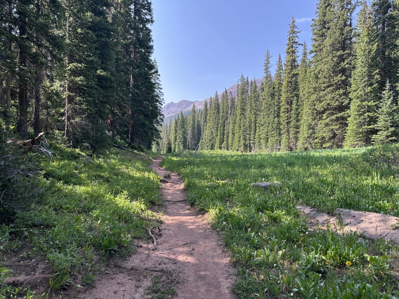 2024/07(July)/Maroon-Bells-Four-Pass-Loop/800x600_2024-07-25-Maroon-Bells-4PL-141.JPG