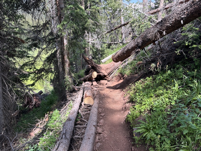 2024/07(July)/Maroon-Bells-Four-Pass-Loop/800x600_2024-07-25-Maroon-Bells-4PL-145.JPG