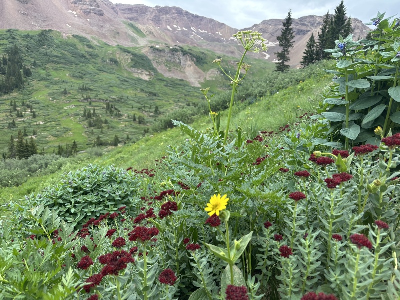 2024/07(July)/Maroon-Bells-Four-Pass-Loop/800x600_2024-07-26-Maroon-Bells-4PL-185.JPG
