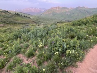 2024-07-24-Maroon-Bells-4PL-048.JPG