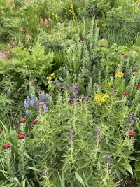 2024-07-24-Maroon-Bells-4PL-049.JPG