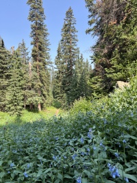 2024-07-24-Maroon-Bells-4PL-078.JPG