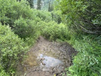 2024-07-24-Maroon-Bells-4PL-091-mud-crossing.JPG