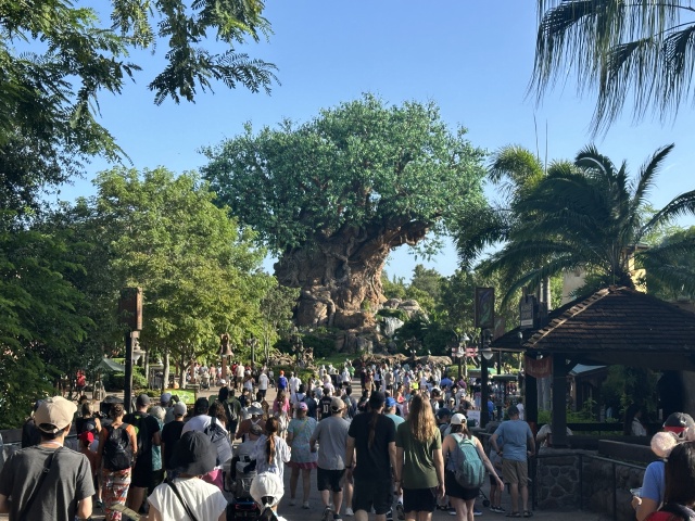 2024/08(August)/Disney-World-Chance-Bianca/640x480_2024-08-03-Disney-World-067.JPG