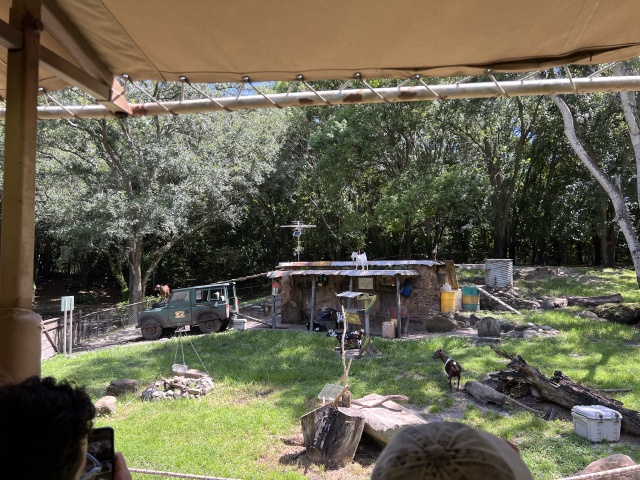 2024-08-03-Disney-World-101-goats.JPG