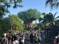 2024-08-03-Disney-World-067.JPG