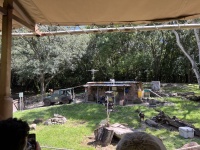 2024-08-03-Disney-World-101-goats.JPG
