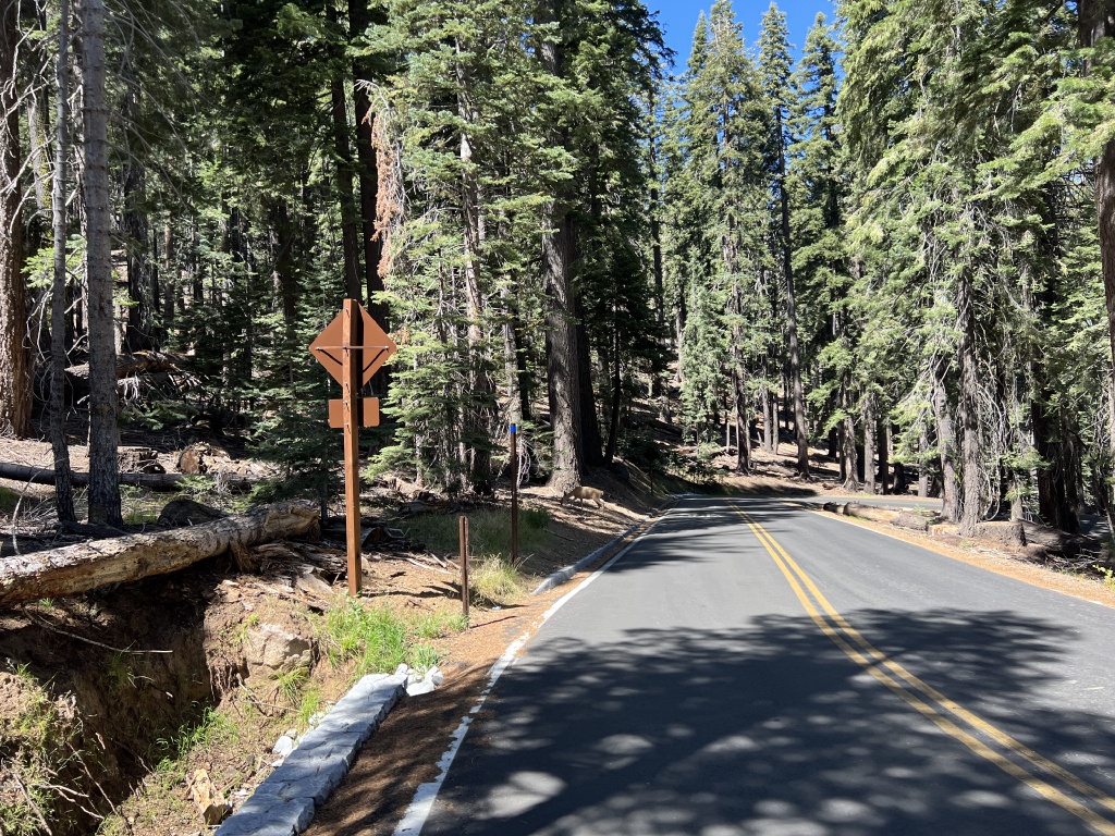 2024/08(August)/Yosemite-High-Sierra-Camp-Loop/1024x768_2024-08-26-Yosemite-215-Sentinel-TaftPoint.JPG