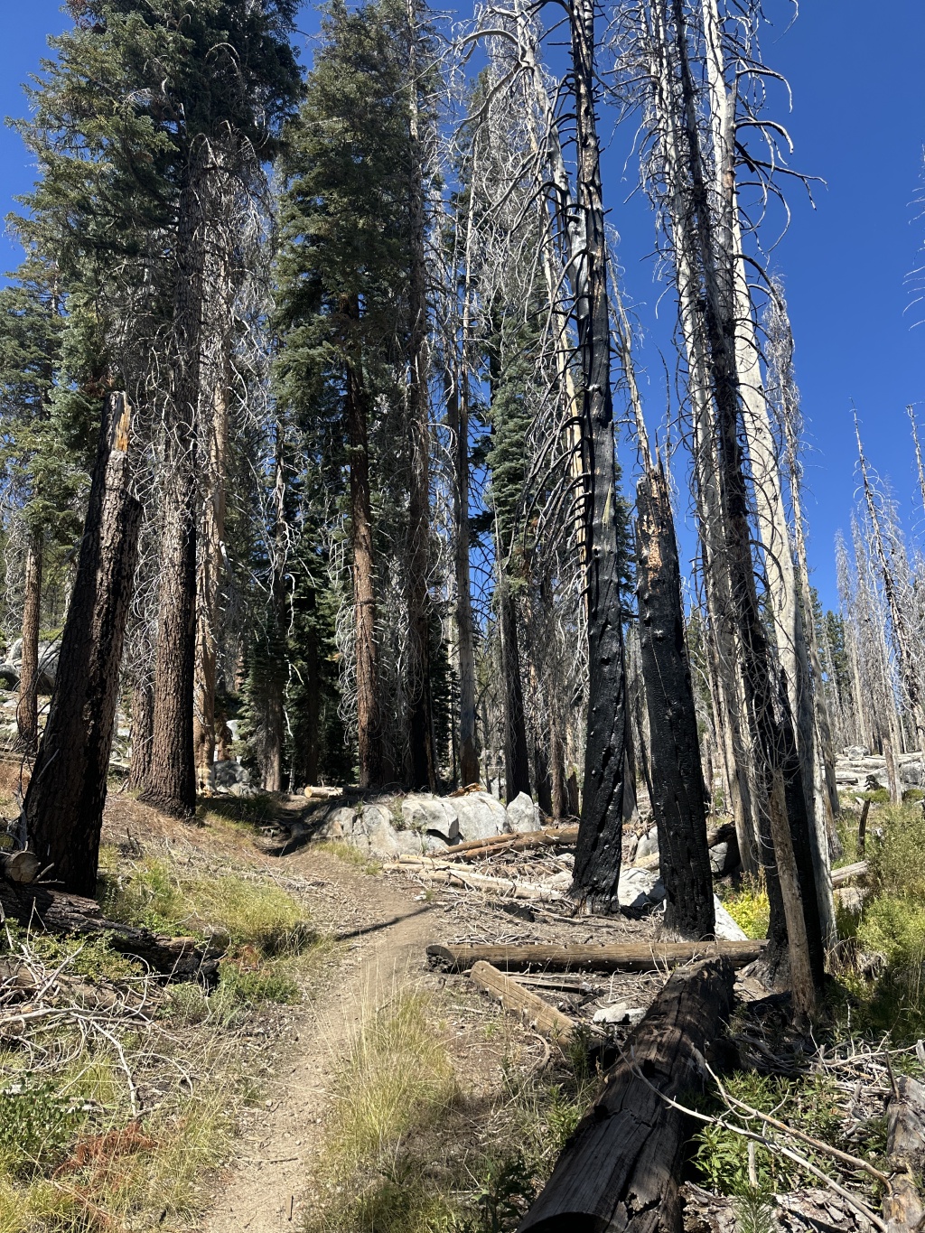 2024/08(August)/Yosemite-High-Sierra-Camp-Loop/1024x768_2024-08-27-Yosemite-299-Falls-to-Tioga-Rd.JPG