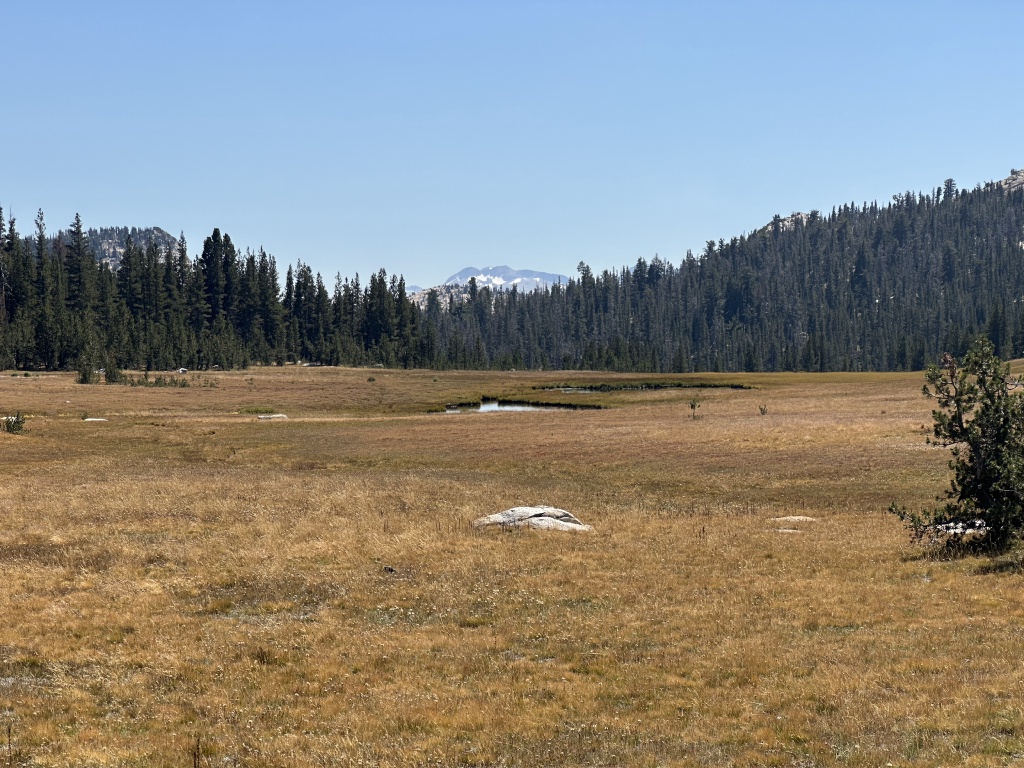 2024/08(August)/Yosemite-High-Sierra-Camp-Loop/1024x768_2024-08-28-Yosemite-334-May-Lake-hike.JPG