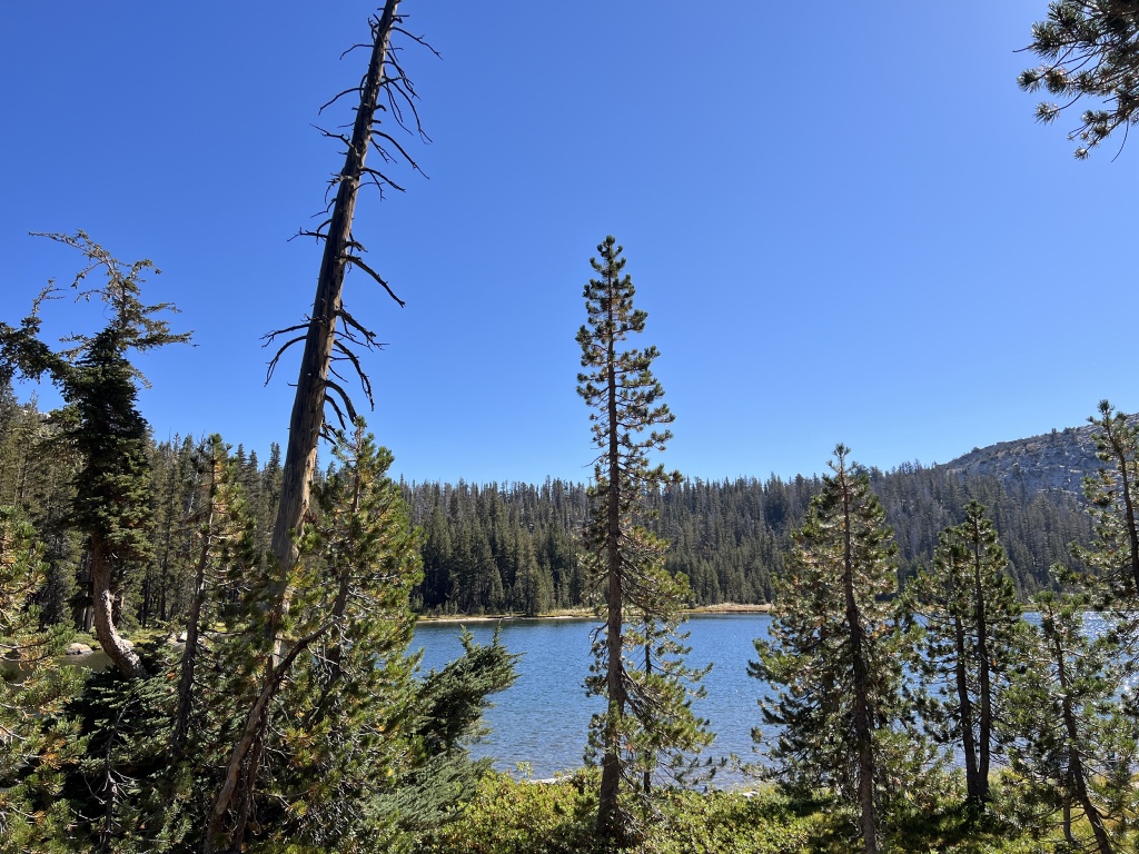 2024/08(August)/Yosemite-High-Sierra-Camp-Loop/1024x768_2024-08-29-Yosemite-368.JPG