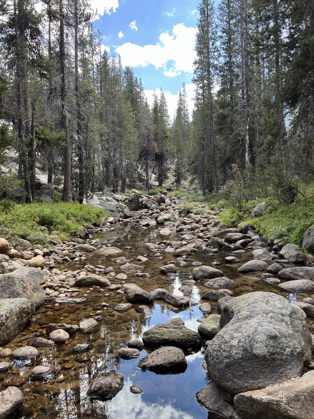 2024-08-30-Yosemite-458-hike-to-Glen-Aulin-GOOD.JPG