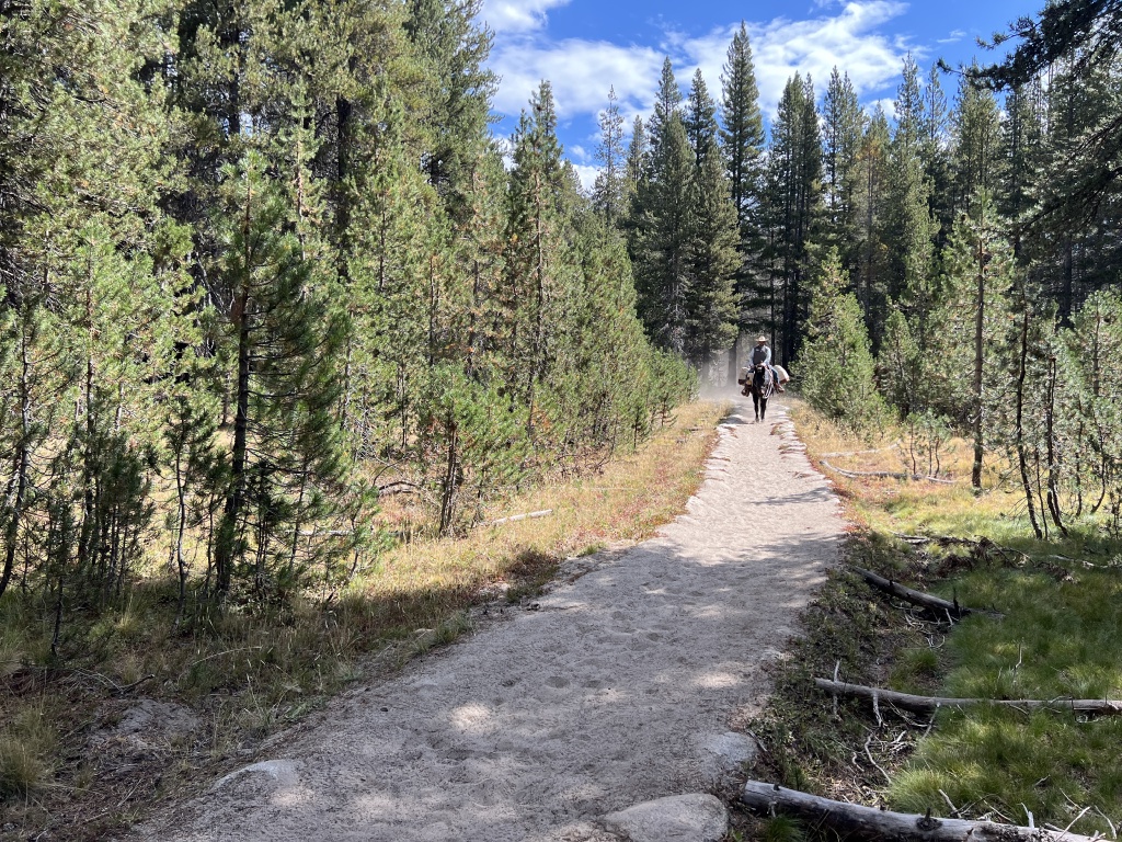 2024/08(August)/Yosemite-High-Sierra-Camp-Loop/1024x768_2024-08-31-Yosemite-527-pack-mule.JPG