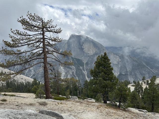 2024-08-24-Yosemite-081-Porcupine-Creek-to-NorthDome.JPG